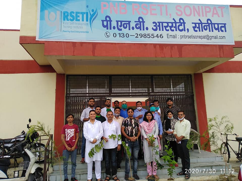 meri pahal ngo tree plantation