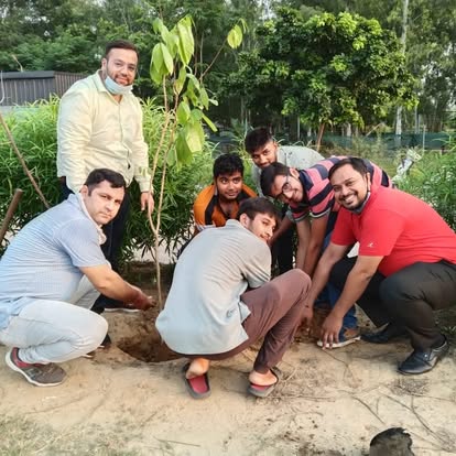 ngo tree plantation